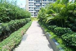 Commercial Garden