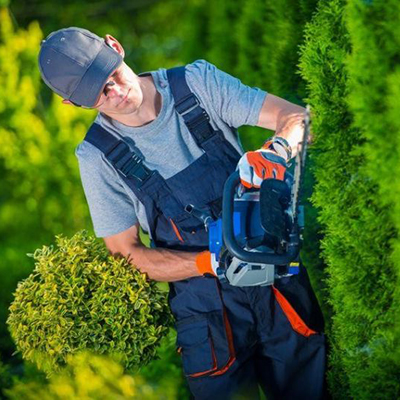 Commercial Garden