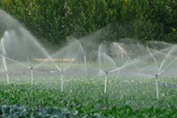 Irrigation System