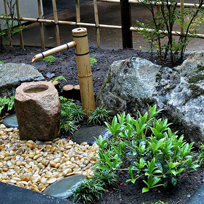 Rock Garden