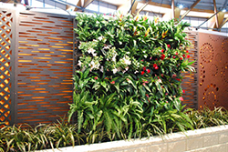 Vertical Garden