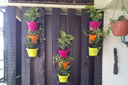 Vertical Garden