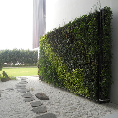 Vertical Garden